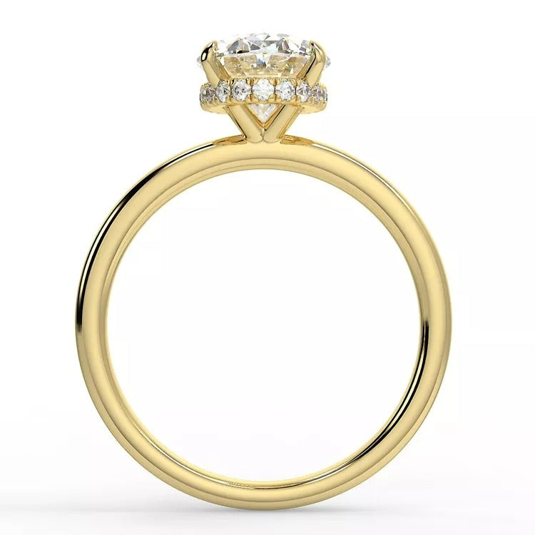 The Provence Ring